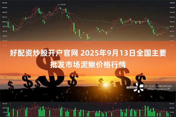 好配资炒股开户官网 2025年9月13日全国主要批发市场泥鳅价格行情
