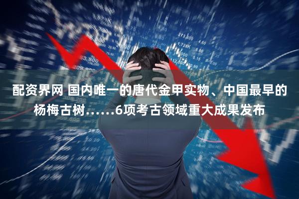 配资界网 国内唯一的唐代金甲实物、中国最早的杨梅古树……6项考古领域重大成果发布